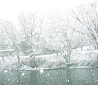 芦ノ湖雪